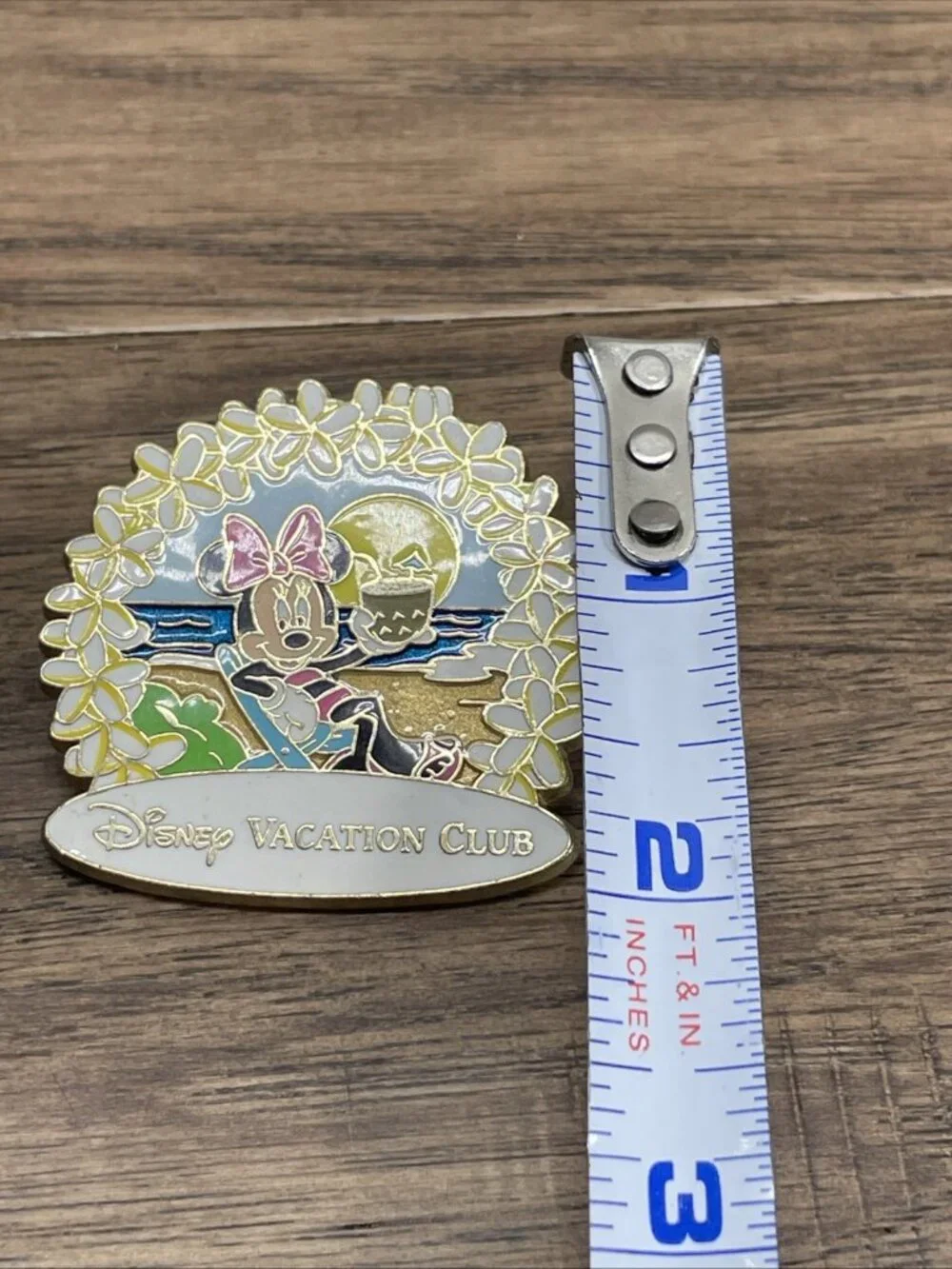 Disney Vacation Club Pin 2010 DVC Exclusive Minnie Mouse on the Beach KG JD